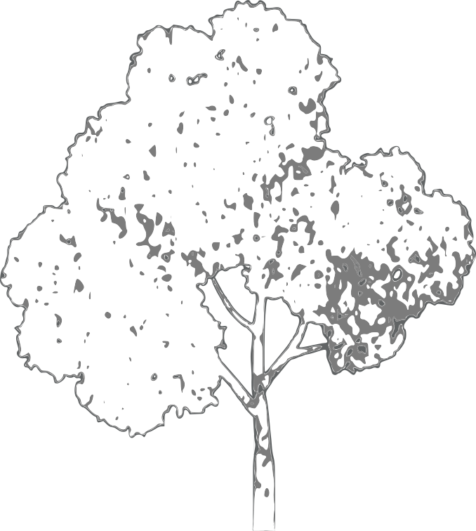 Washburn Lake Village